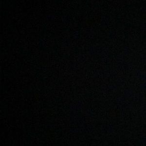 Meet your Posher, Trevor